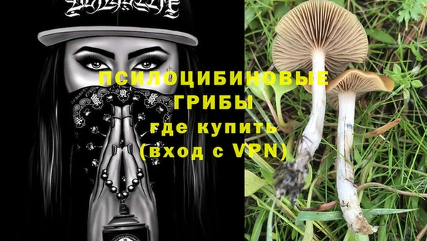 молекула духа Волосово