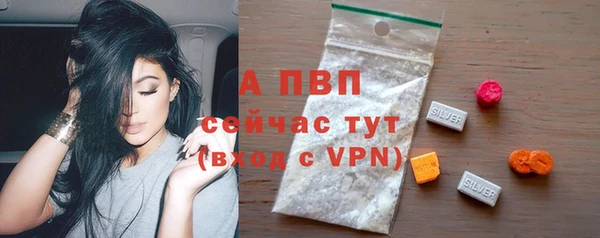 молекула духа Волосово