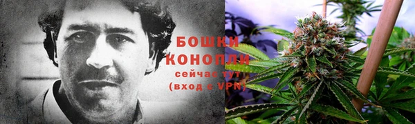 МДПВ Волоколамск
