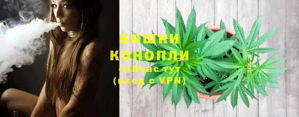 молекула духа Волосово